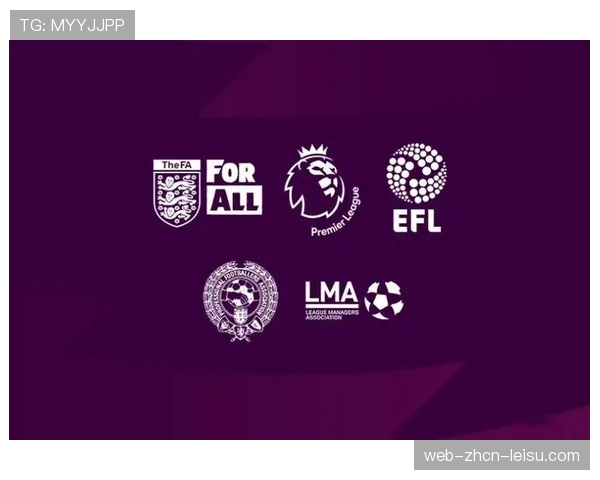 英足总宣布将对低级别联赛引入更严格的财务监管框架 英足总宣布将对低级别联赛引入更严格的财务监管框架